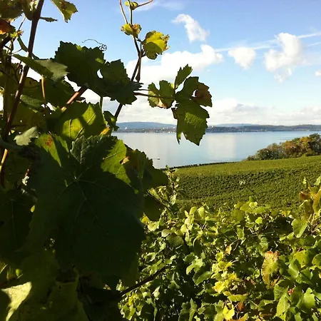 Alte Post Hotel Meersburg