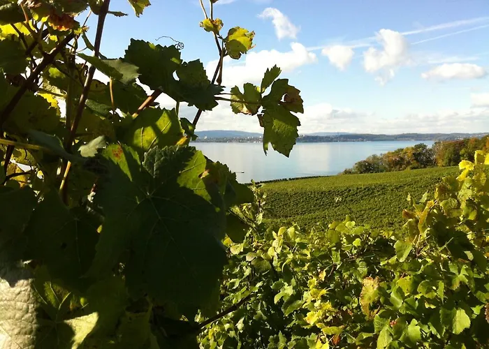 Alte Post Отель Меерсбург